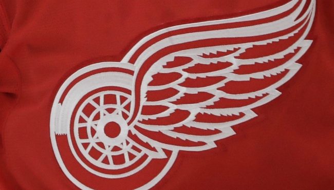 generic detroit red wings logo_413246