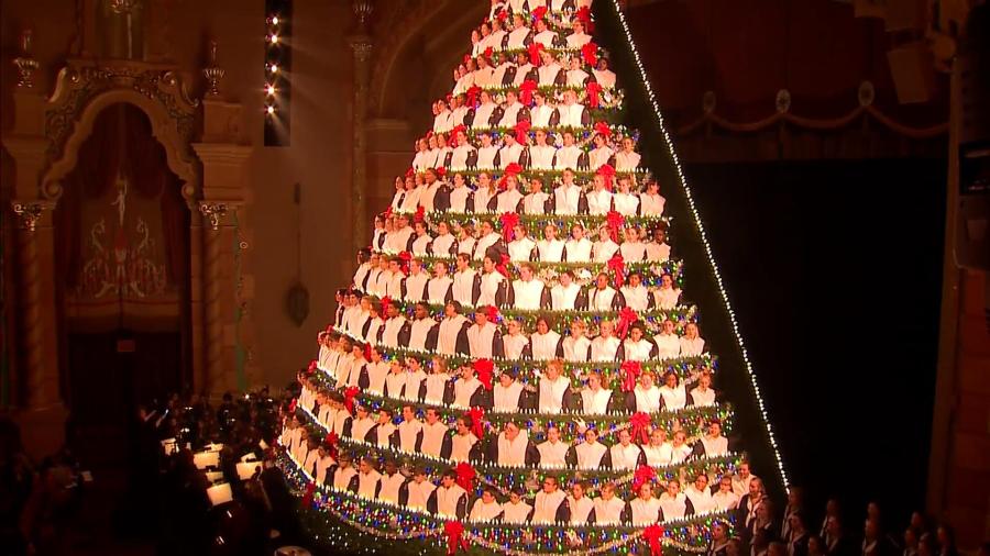 singing christmas tree 112818_1543461411472.jpg.jpg