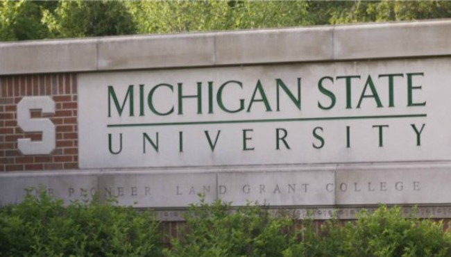 michigan state university