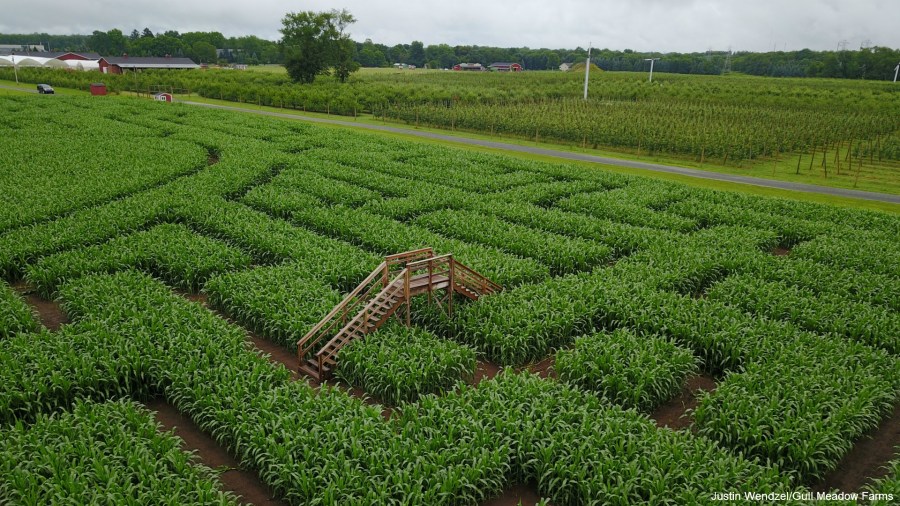 Luke Bryan corn maze Gull Meadow Farms Richland Township