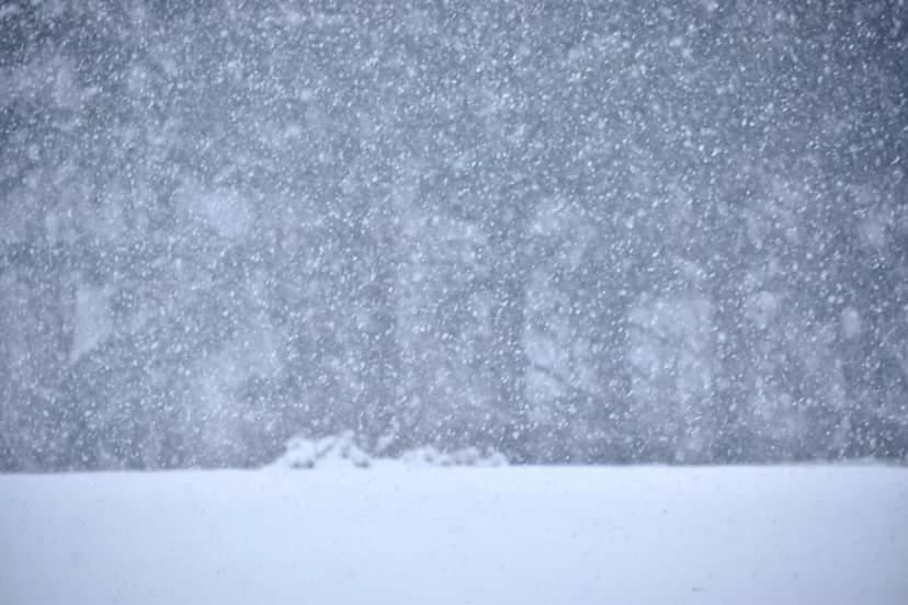 Snow in Ionia on Nov. 17, 2022. (Courtesy Jax Adam)
