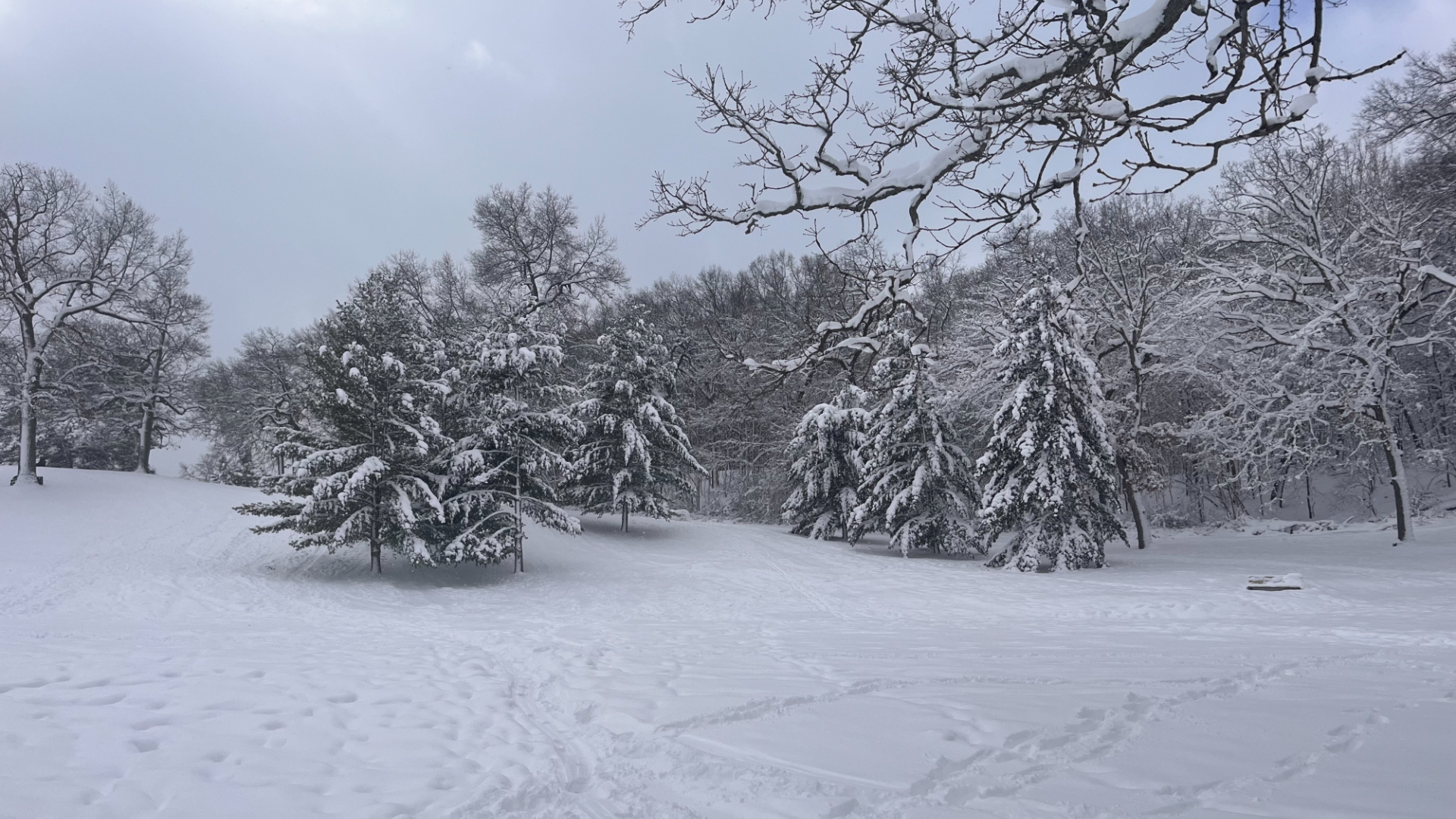 A snowy Richmond Park in Grand Rapids on Jan. 17, 2024.