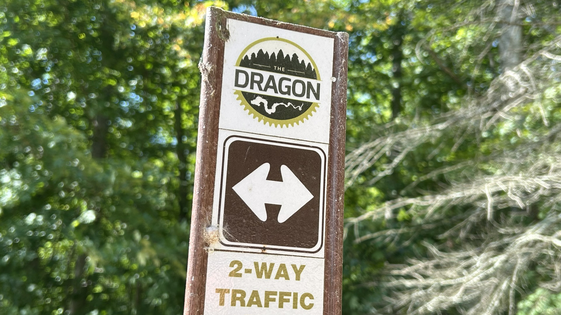 A trail marker along the 45-mile collection of trails known as "The Dragon." (Matt Jaworowski/WOOD TV8)