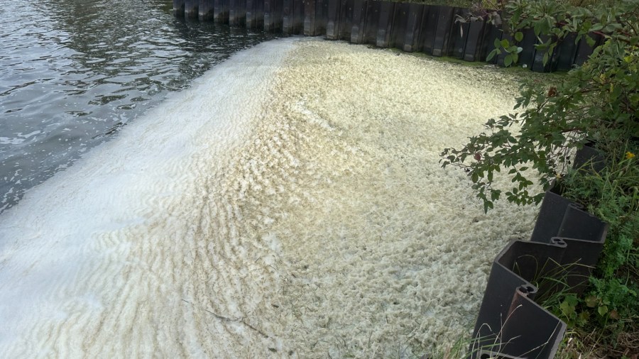 PFAS foam on Muskegon Lake on Sept. 23, 2024.