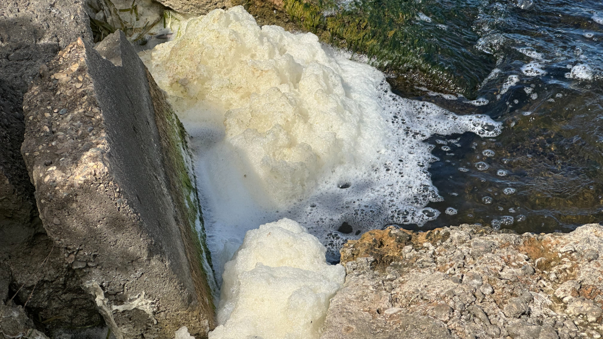 PFAS foam on Muskegon Lake on Sept. 23, 2024.