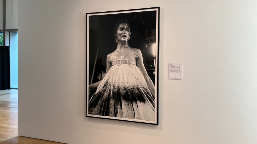 The 'Lee Alexander McQueen & Ann Ray: Rendez-Vous' exhibition from Barrett Barrera Projects will be on display at the Grand Rapids Art Museum from Oct. 5 through Jan. 12. (Oct. 3, 2024)