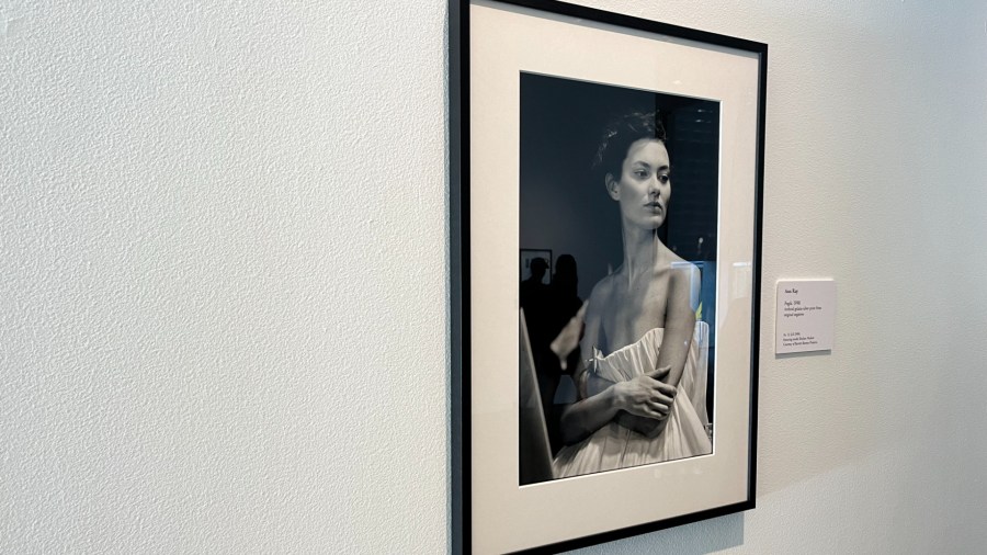 The 'Lee Alexander McQueen & Ann Ray: Rendez-Vous' exhibition from Barrett Barrera Projects will be on display at the Grand Rapids Art Museum from Oct. 5 through Jan. 12. (Oct. 3, 2024)