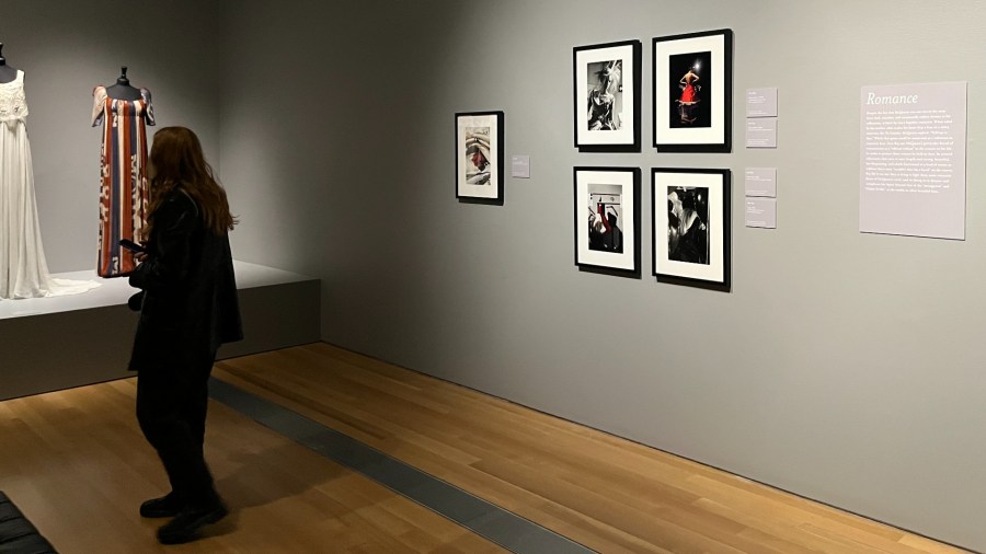 The 'Lee Alexander McQueen & Ann Ray: Rendez-Vous' exhibition from Barrett Barrera Projects will be on display at the Grand Rapids Art Museum from Oct. 5 through Jan. 12. (Oct. 3, 2024)