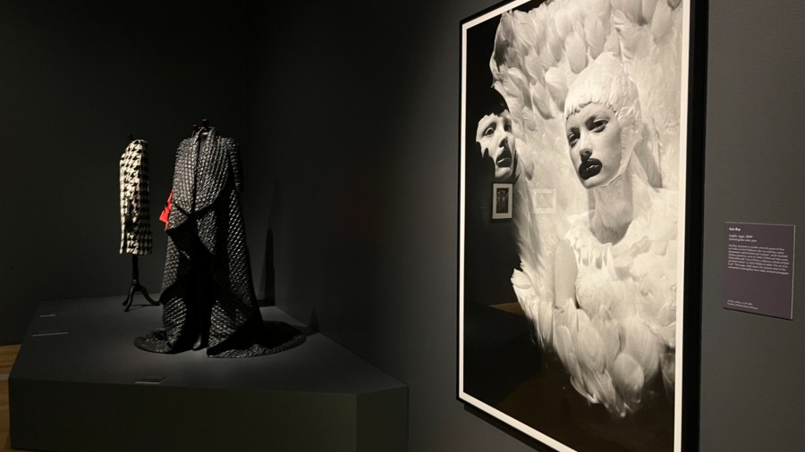The 'Lee Alexander McQueen & Ann Ray: Rendez-Vous' exhibition from Barrett Barrera Projects will be on display at the Grand Rapids Art Museum from Oct. 5 through Jan. 12. (Oct. 3, 2024)
