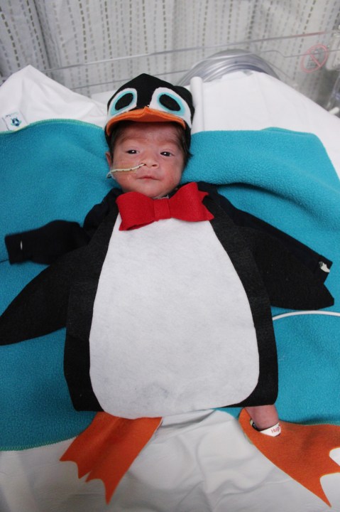 Nurses at Trinity Health Grand Rapids got their NICU patients ready for Halloween. (Courtesy Trinity Health)