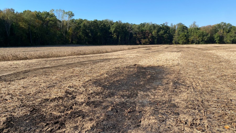 The scene of a fire in a soybean field in Newton Township. (Oct. 6, 2024)