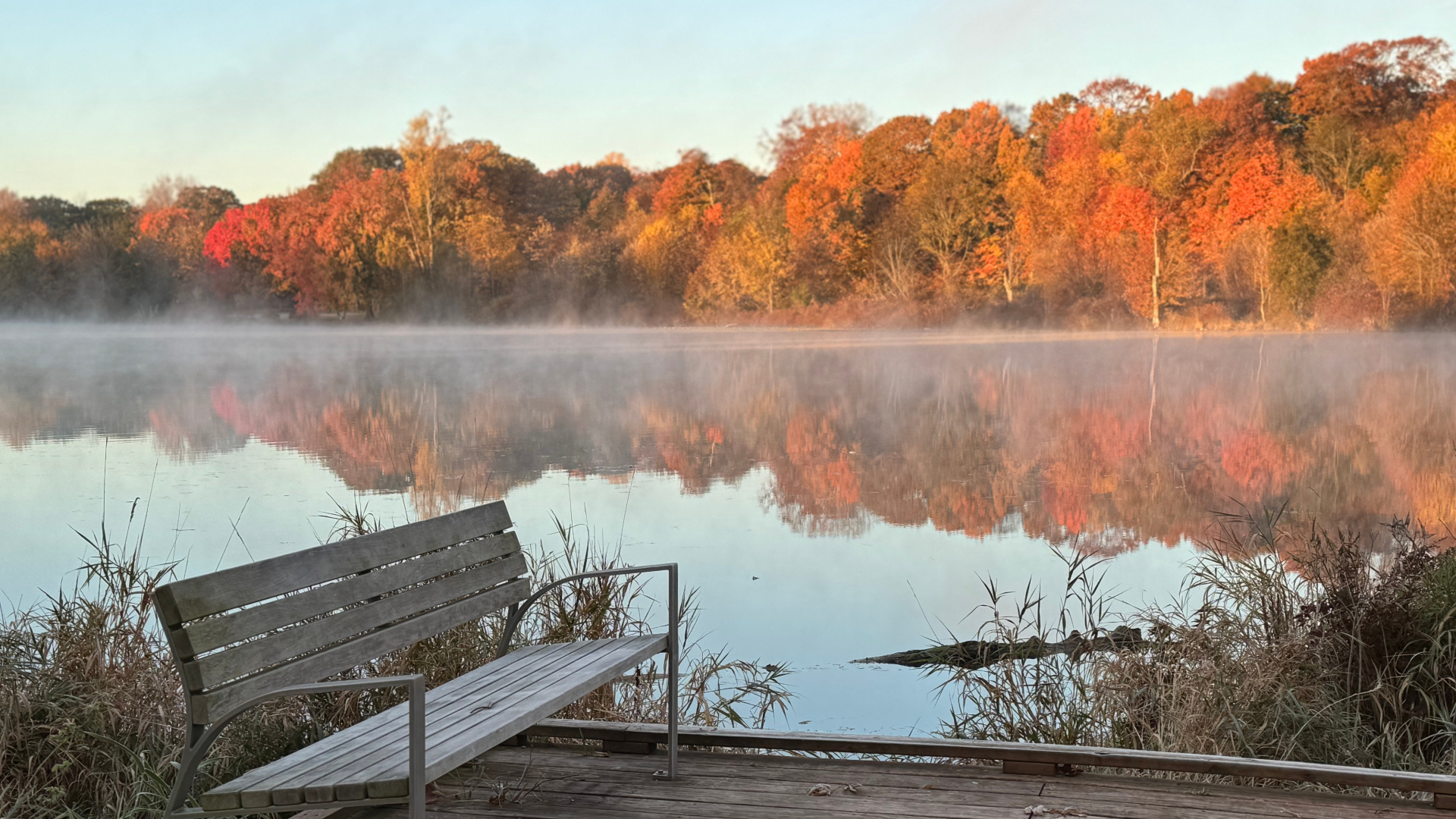 The Caledonia area on Oct. 26, 2024. (Courtesy Holly Hijek)
