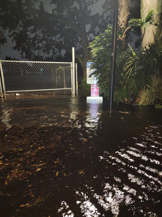 A photo shared by Chris Contreras shows Hurricane Helene's damage in Tampa, Florida.