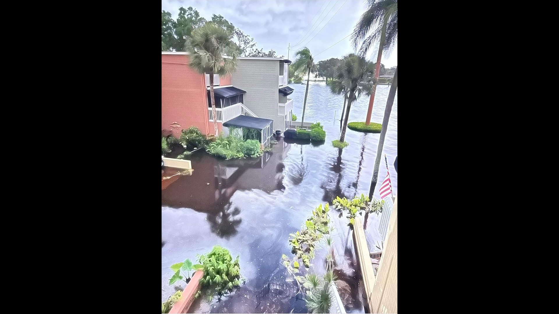 A photo shared by Chris Contreras shows Hurricane Helene's damage in Tampa, Florida.