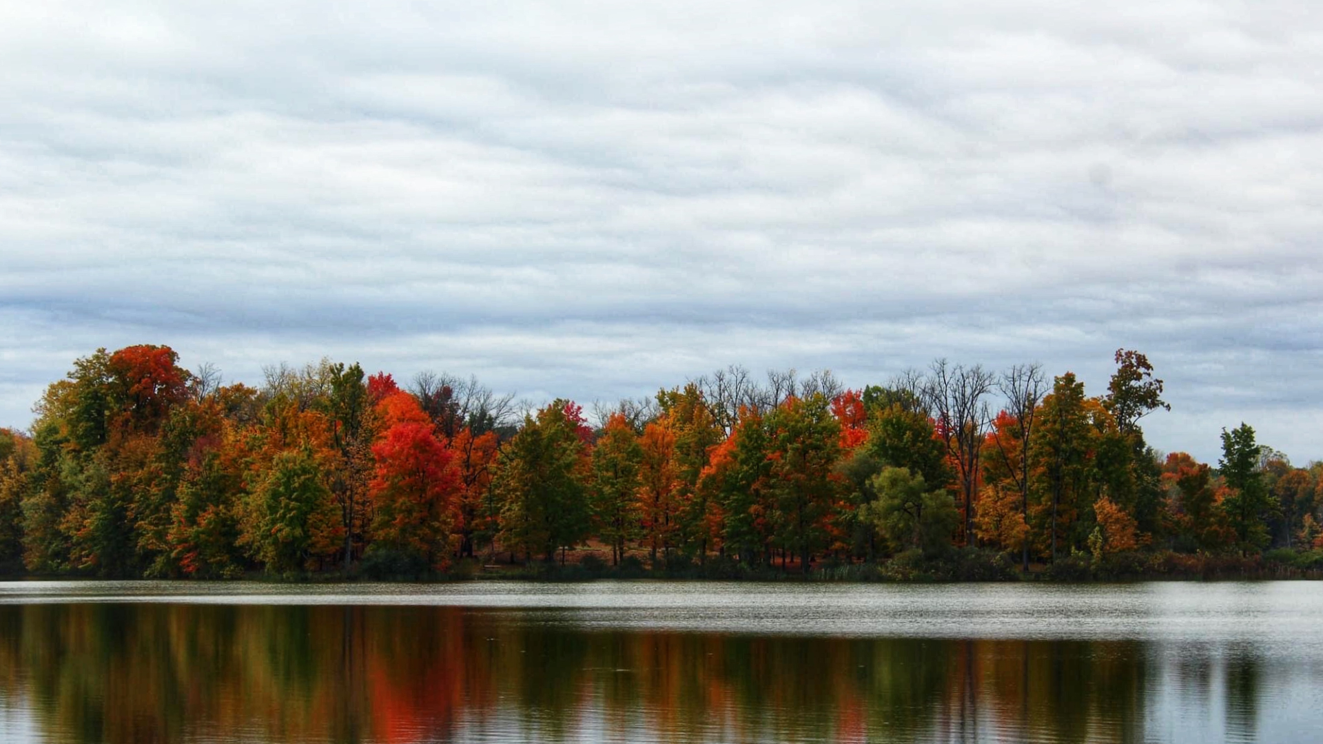 The fall colors at Ionia State Park on Oct. 13, 2024. (Courtesy Kim Engle)