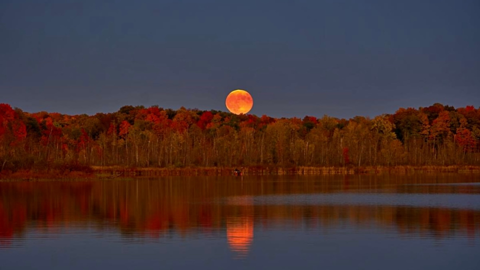Fall colors and the hunter's moon over Wabasis Lake on Oct. 17, 2024. (Courtesy John Frueh Jr)