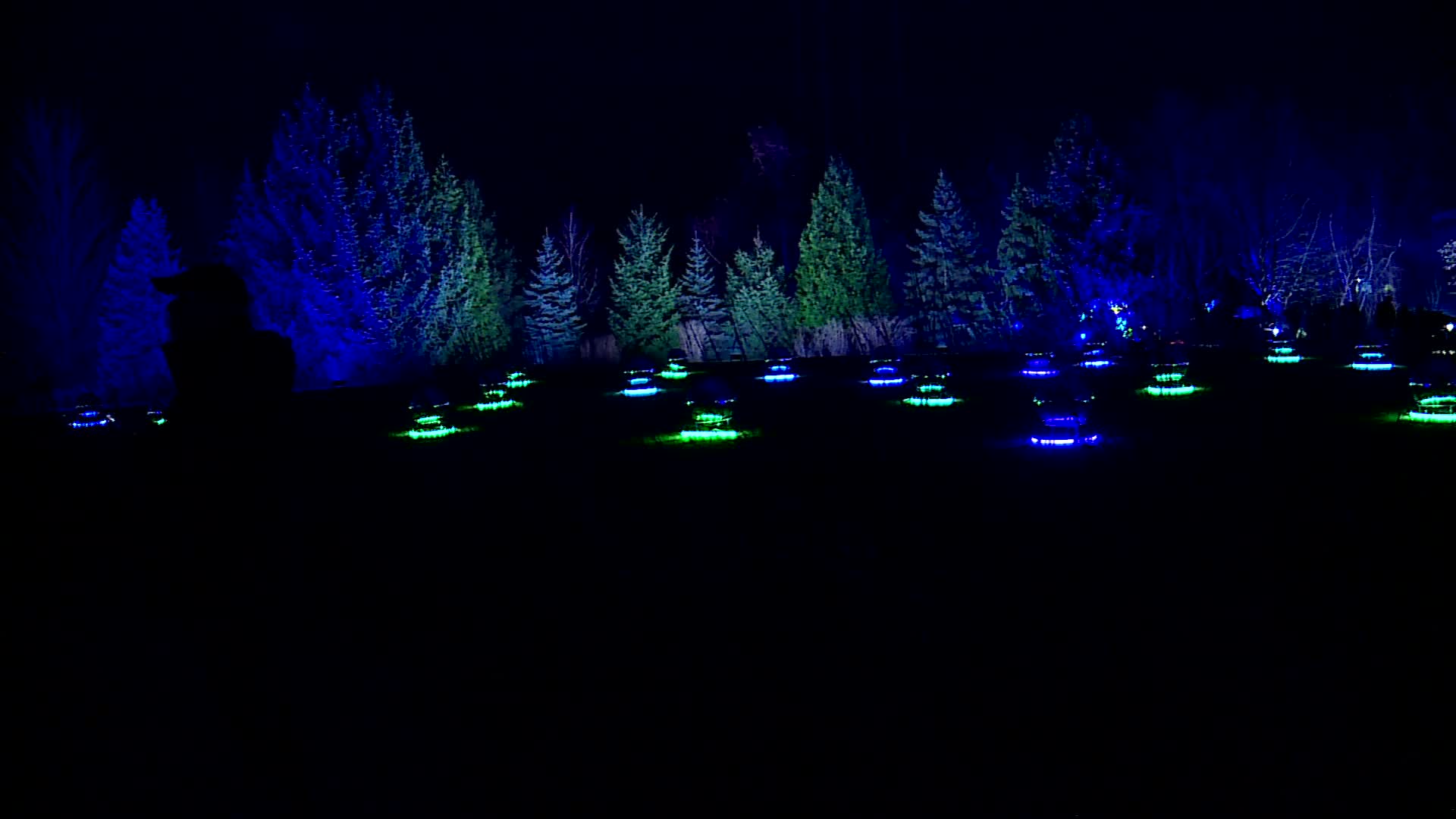 ENLIGHTEN at Frederik Meijer Gardens. (Nov. 25, 2024)