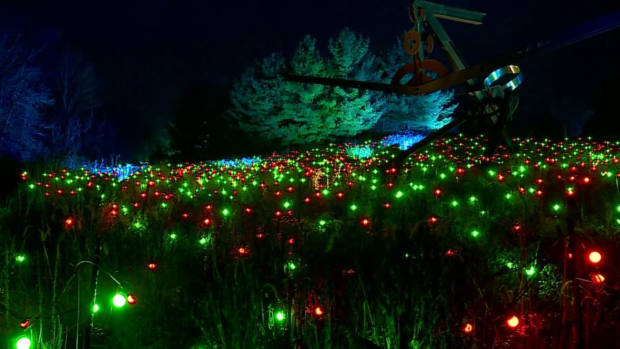 ENLIGHTEN at Frederik Meijer Gardens. (Nov. 25, 2024)