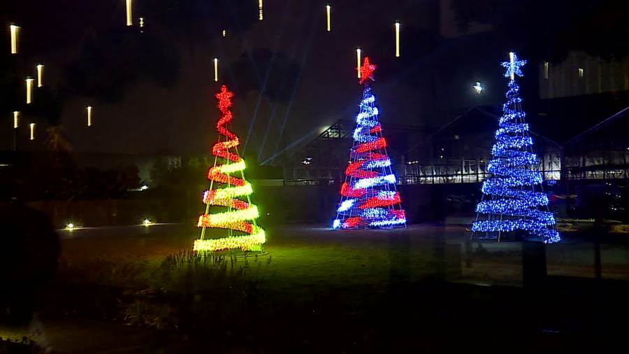 ENLIGHTEN at Frederik Meijer Gardens. (Nov. 25, 2024)