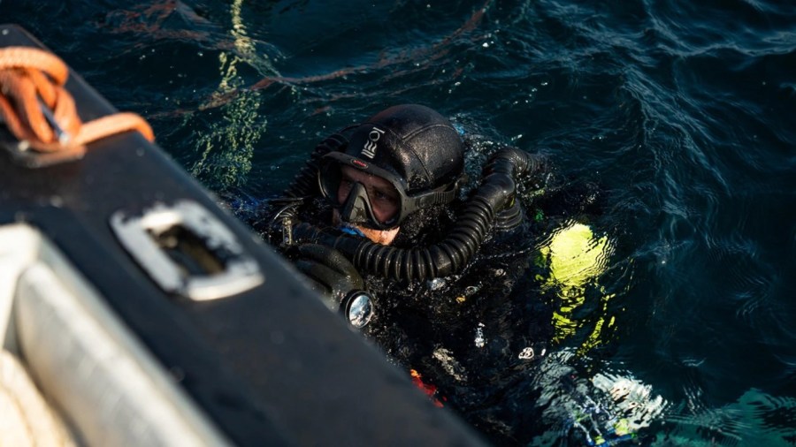A group of divers helped recover rye seeds from a shipwreck in Lake Huron. (Courtesy Michigan State University/Nick Schrader)
