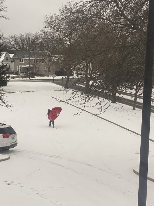 Mark Micheli and his family got their Christmas tree back after it was stolen of their porch. (Courtesy Mark Micheli)