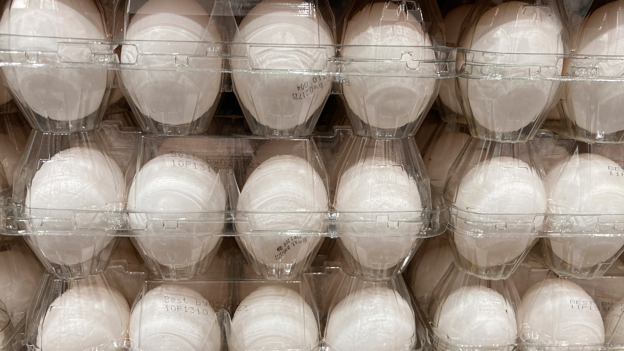 FILE - Cartons of eggs are shown for sale, on Jan. 17, 2023, in North Miami, Fla. (AP Photo/Wilfredo Lee, File)