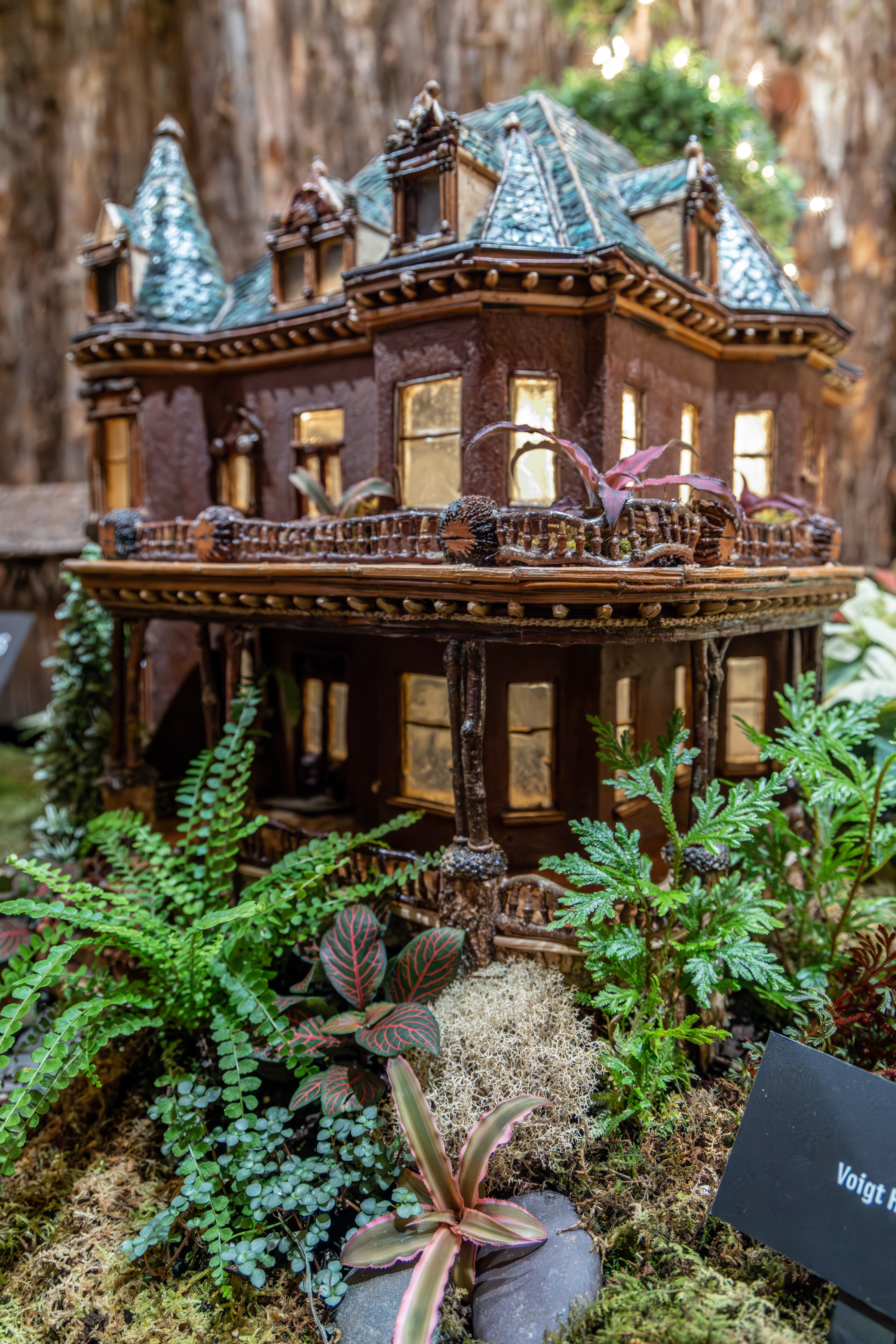 University of Michigan Health-West: Christmas & Holiday Traditions at Frederik Meijer Gardens. (Michael Buck/WOOD TV8)