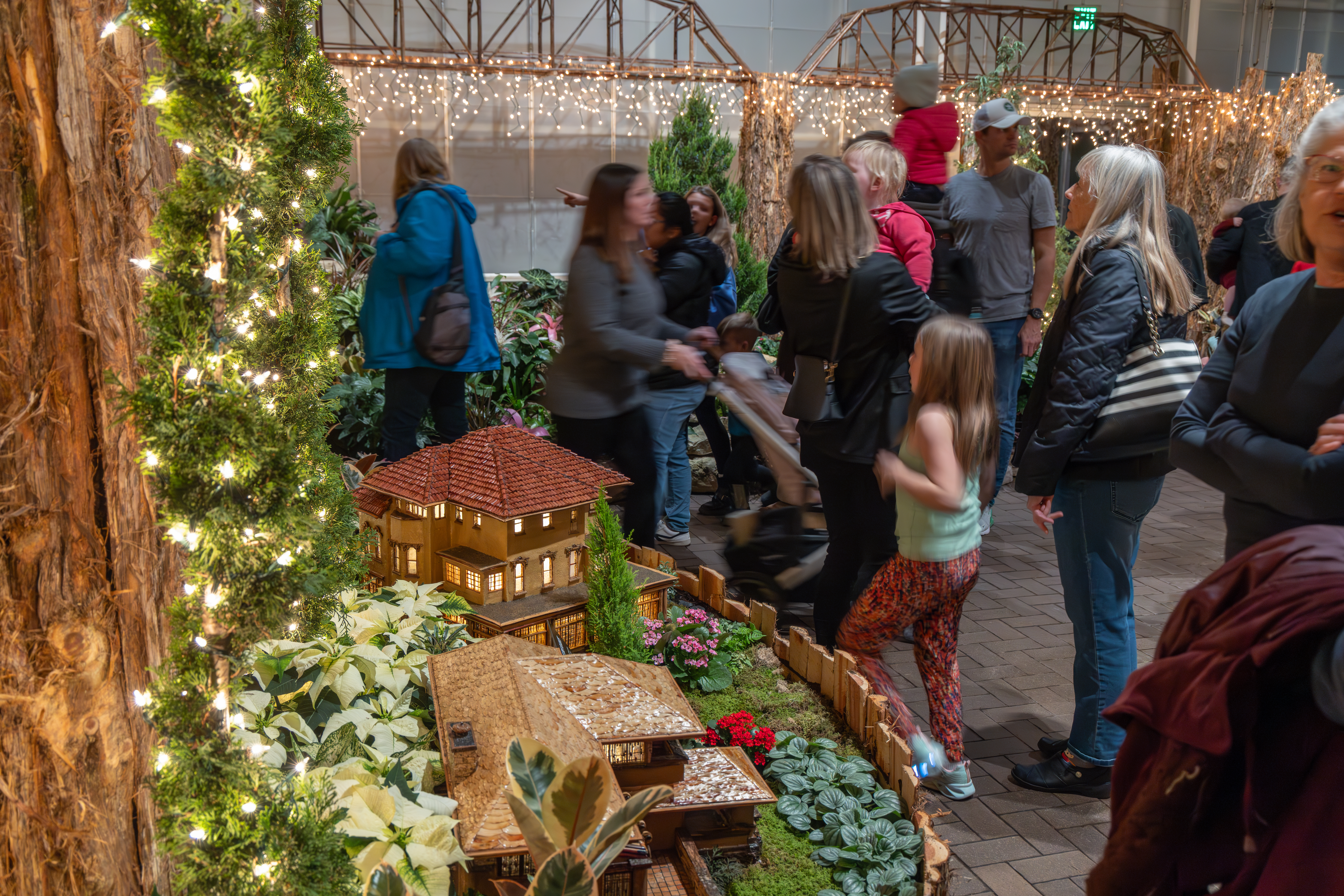 University of Michigan Health-West: Christmas & Holiday Traditions at Frederik Meijer Gardens. (Michael Buck/WOOD TV8)