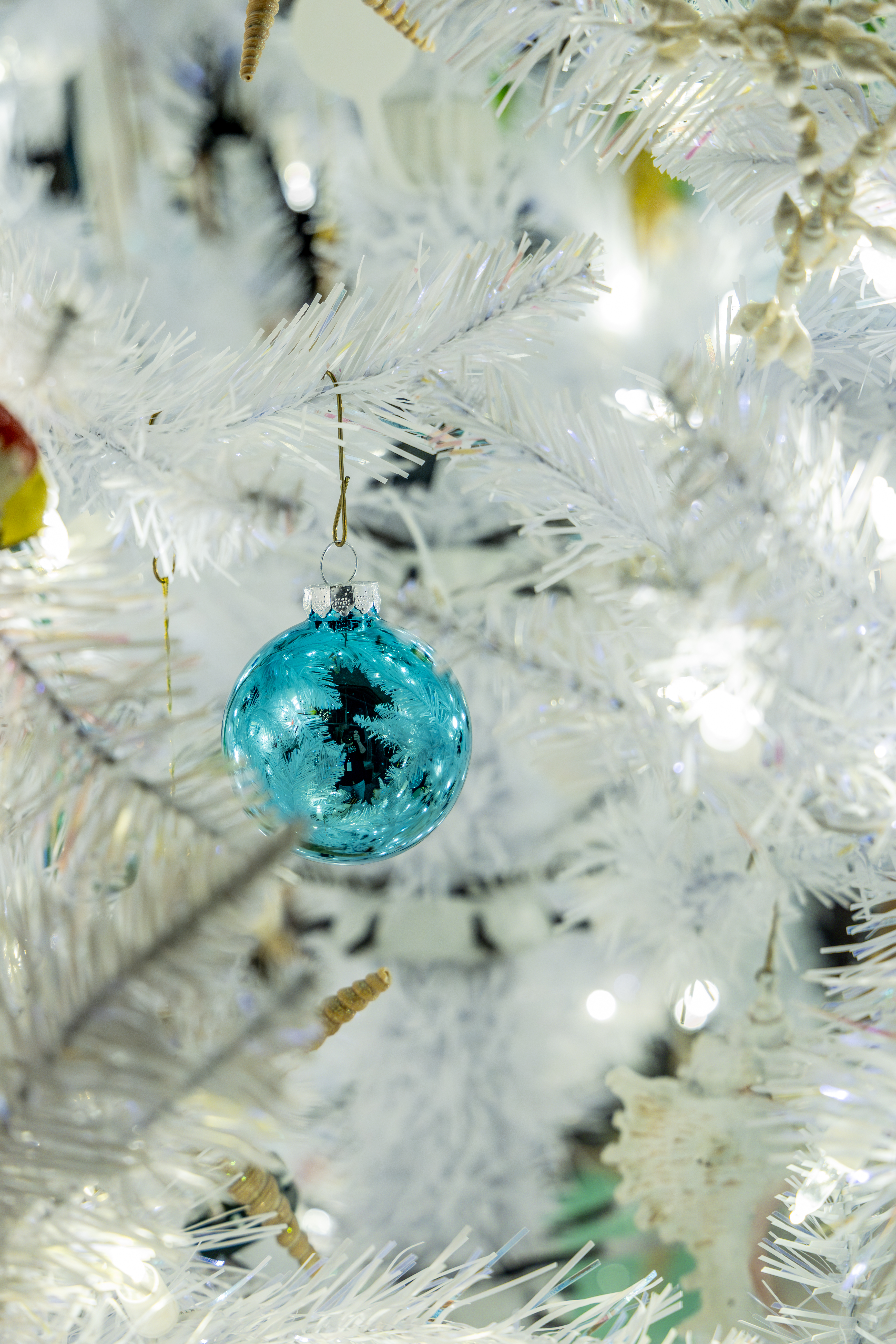 University of Michigan Health-West: Christmas & Holiday Traditions at Frederik Meijer Gardens. (Michael Buck/WOOD TV8)