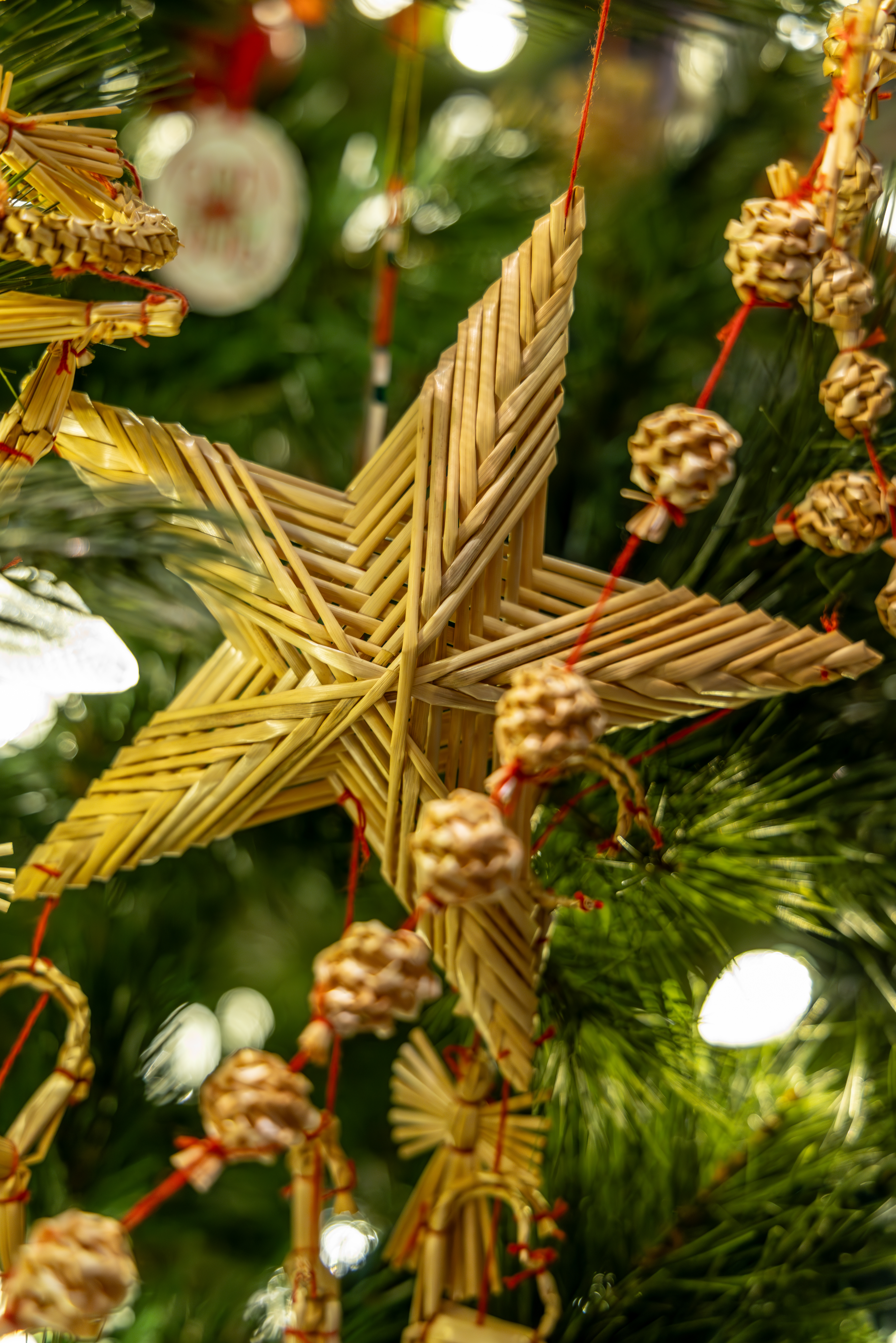 University of Michigan Health-West: Christmas & Holiday Traditions at Frederik Meijer Gardens. (Michael Buck/WOOD TV8)