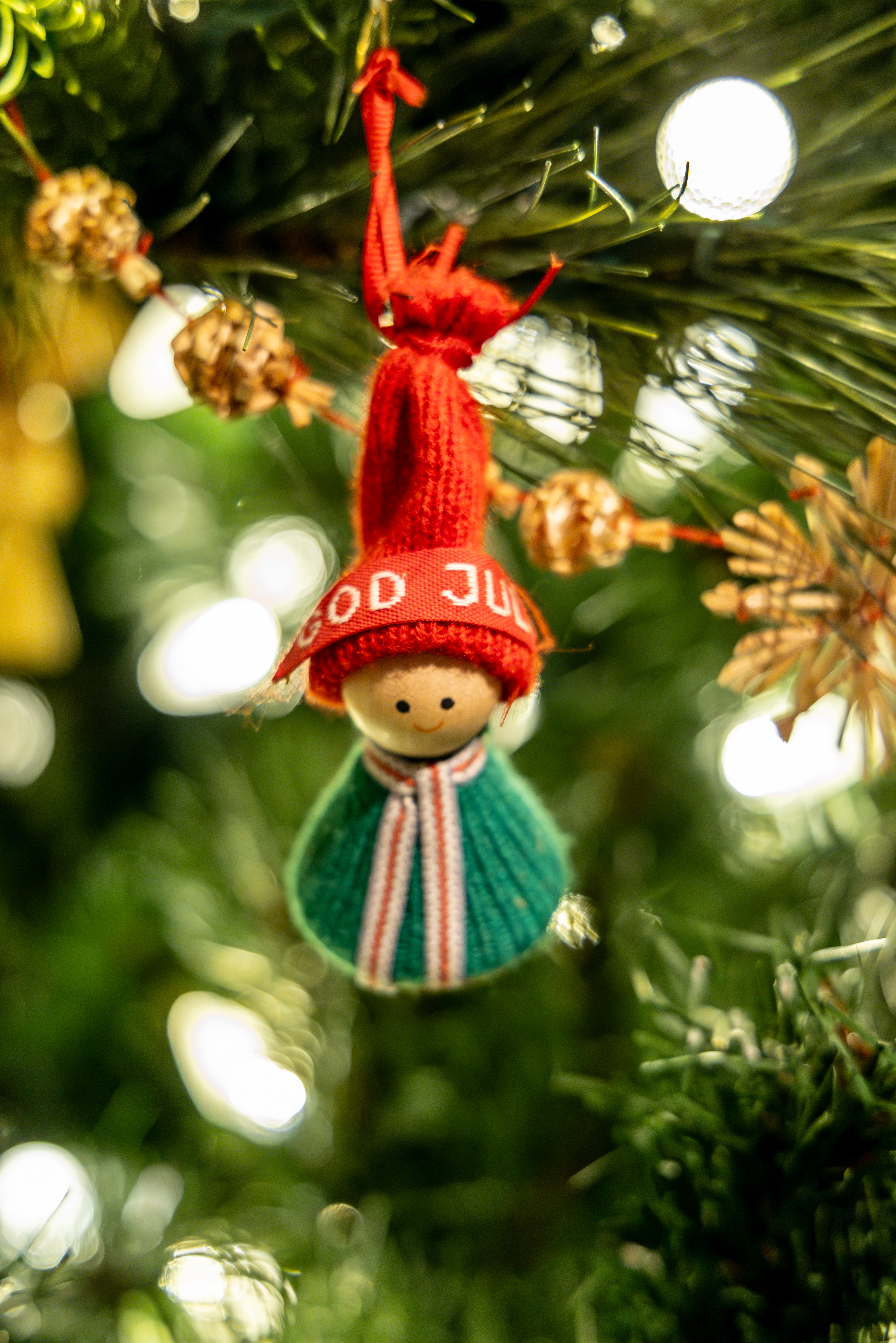 University of Michigan Health-West: Christmas & Holiday Traditions at Frederik Meijer Gardens. (Michael Buck/WOOD TV8)