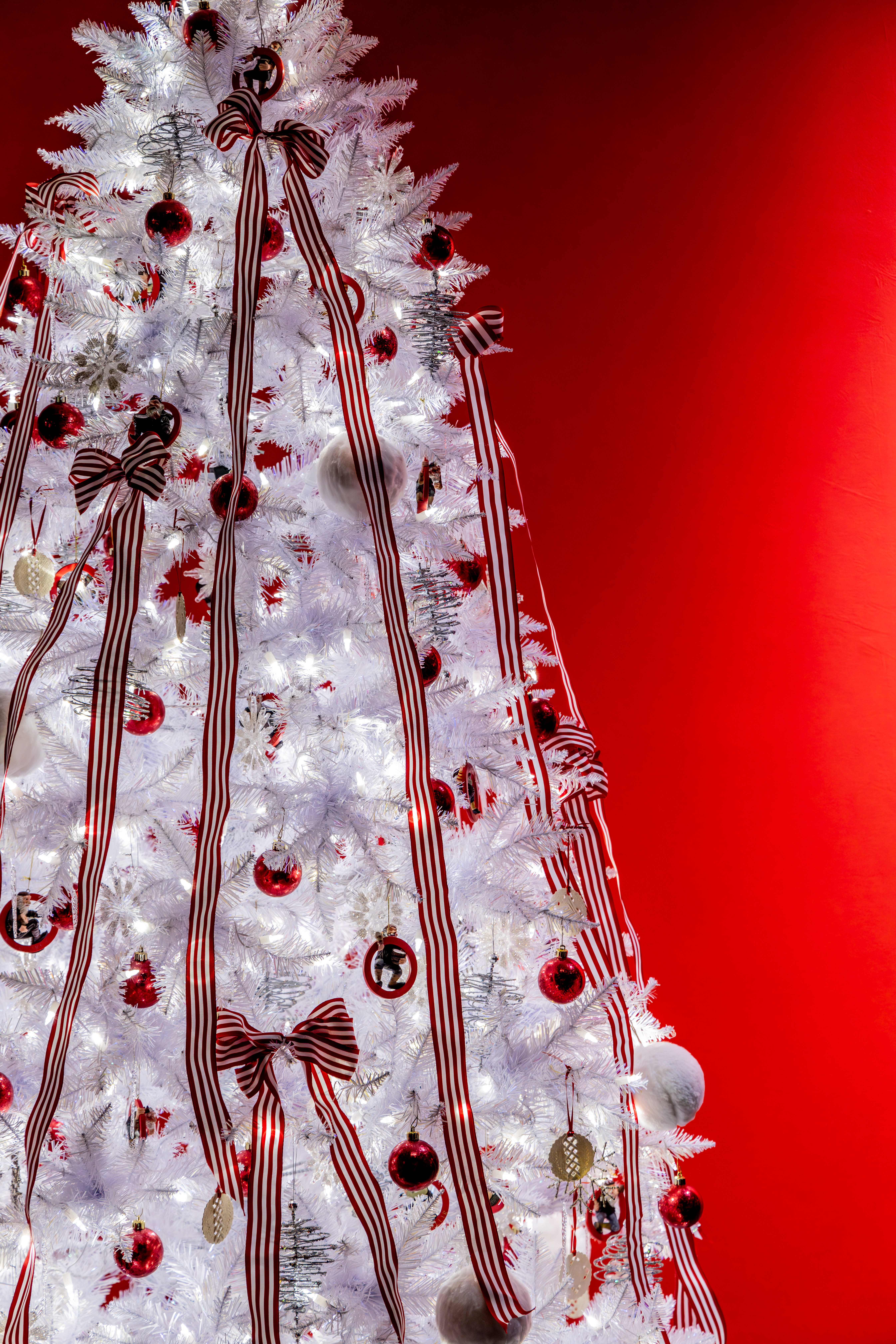University of Michigan Health-West: Christmas & Holiday Traditions at Frederik Meijer Gardens. (Michael Buck/WOOD TV8)