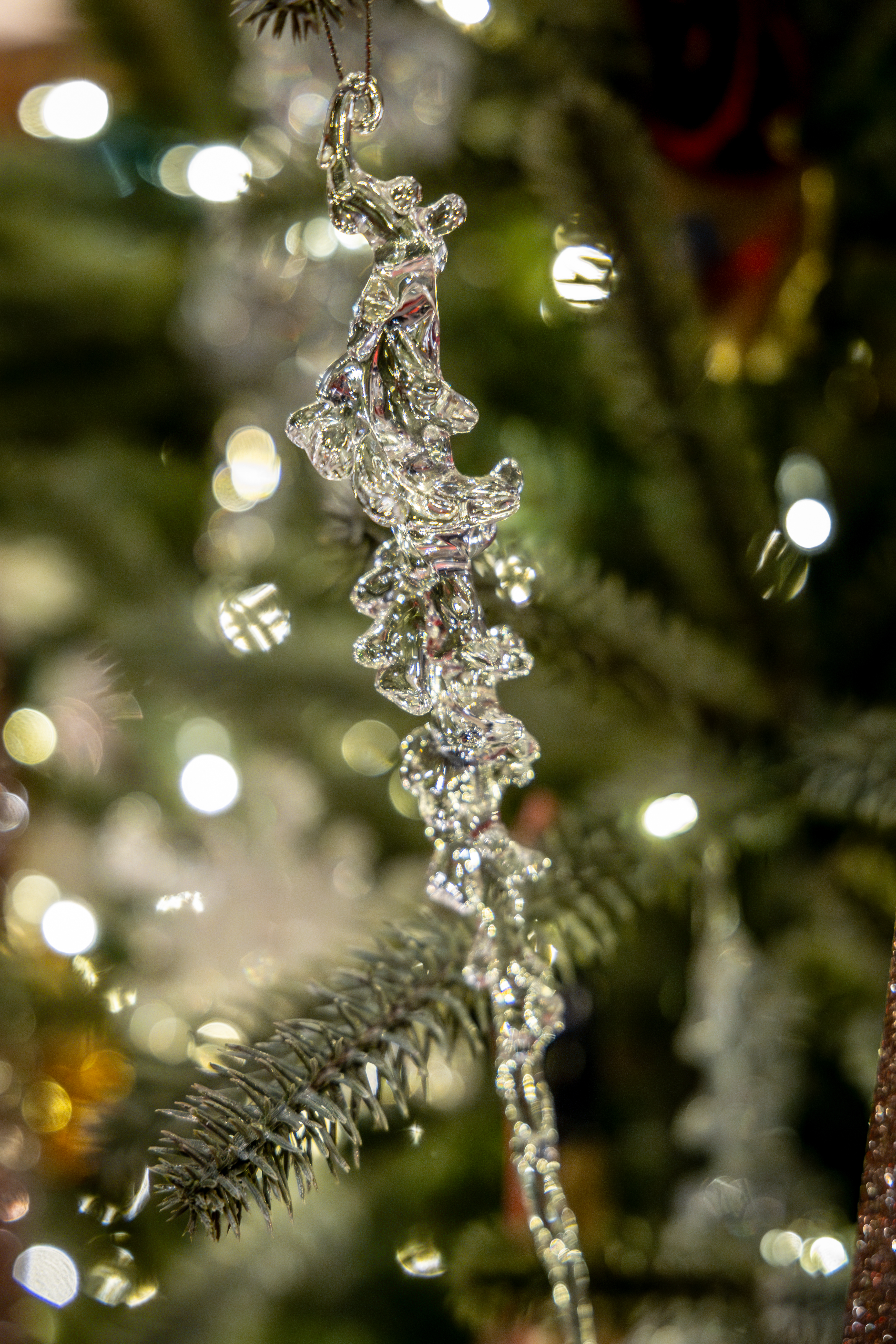 University of Michigan Health-West: Christmas & Holiday Traditions at Frederik Meijer Gardens. (Michael Buck/WOOD TV8)