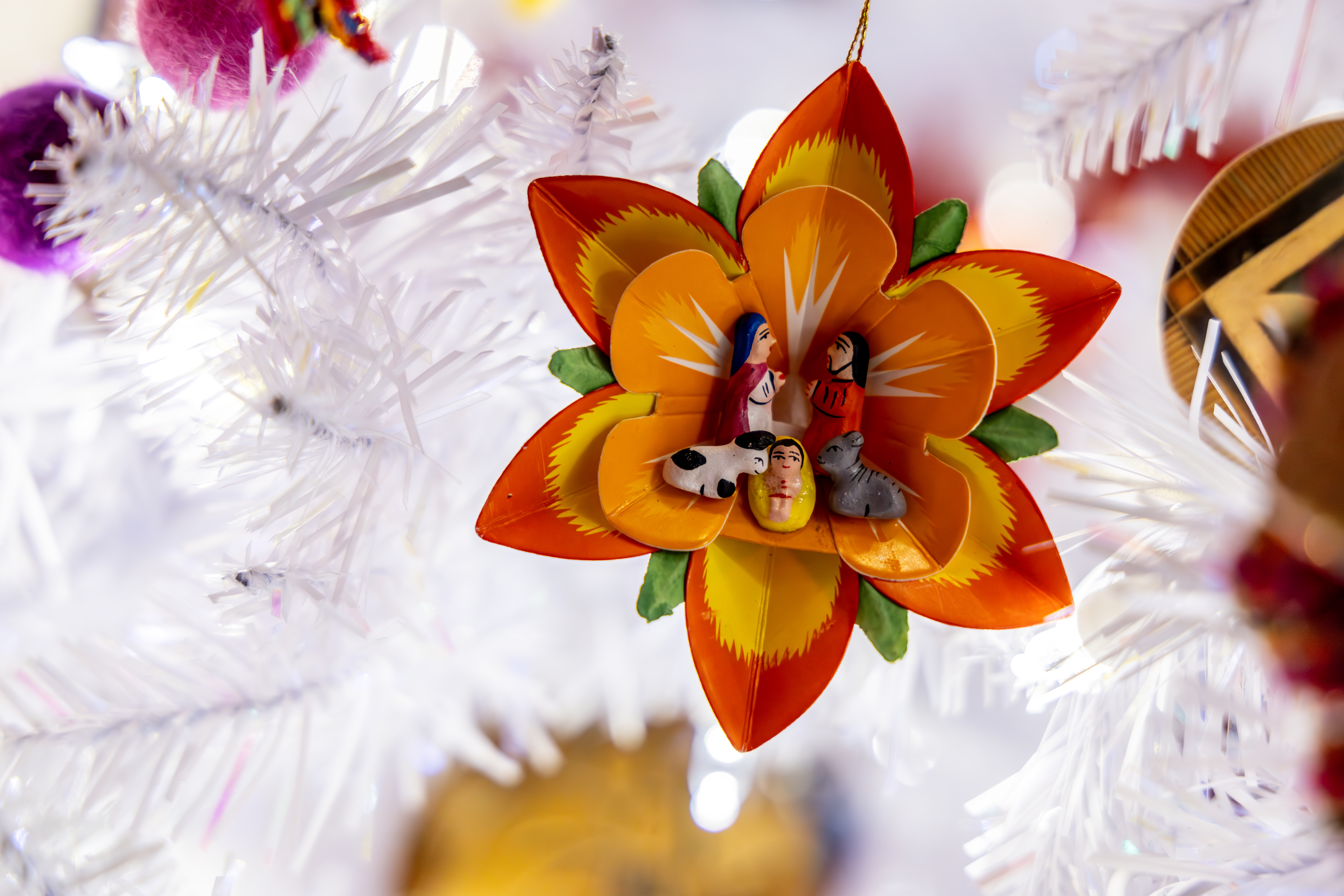 University of Michigan Health-West: Christmas & Holiday Traditions at Frederik Meijer Gardens. (Michael Buck/WOOD TV8)