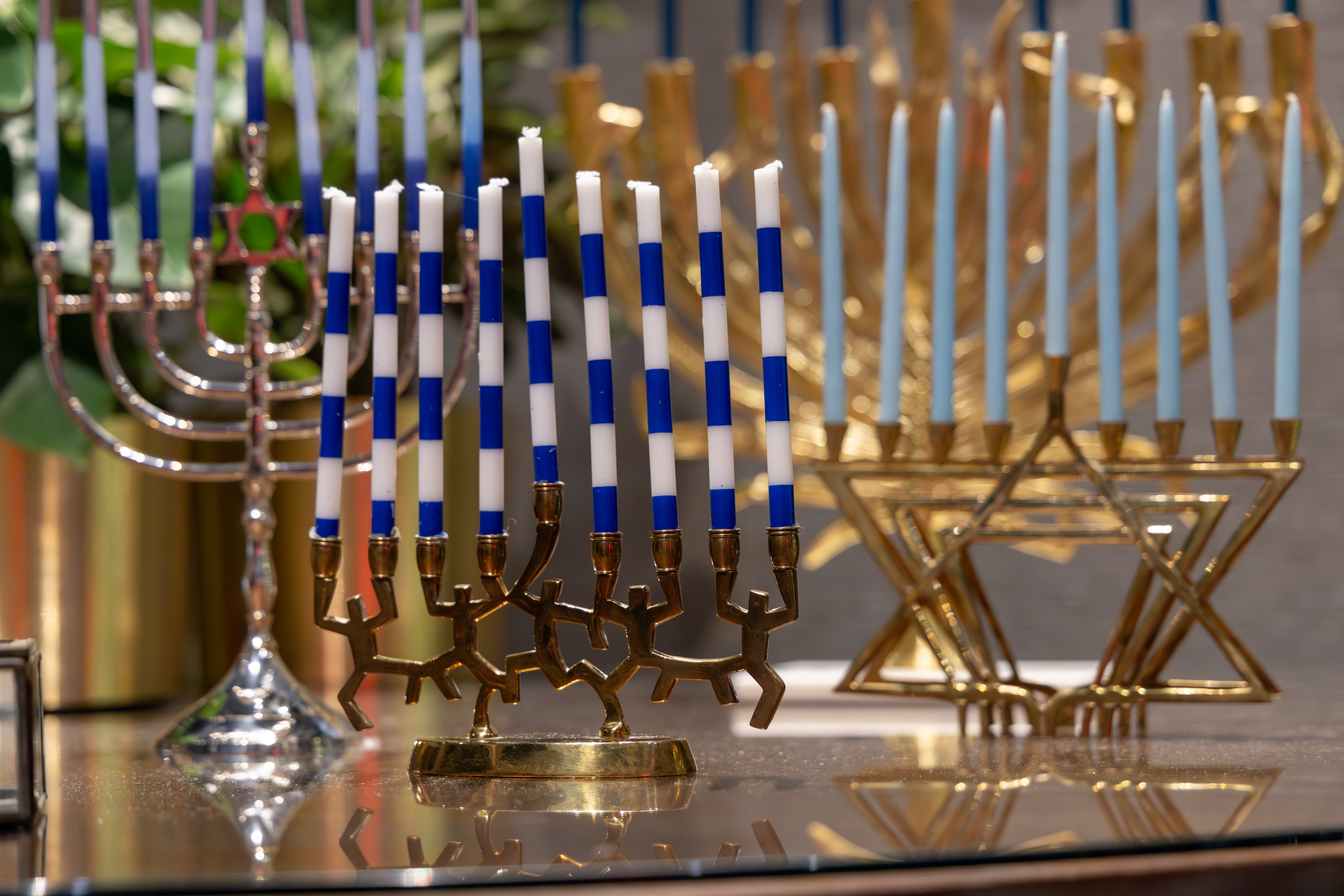 University of Michigan Health-West: Christmas & Holiday Traditions at Frederik Meijer Gardens. (Michael Buck/WOOD TV8)