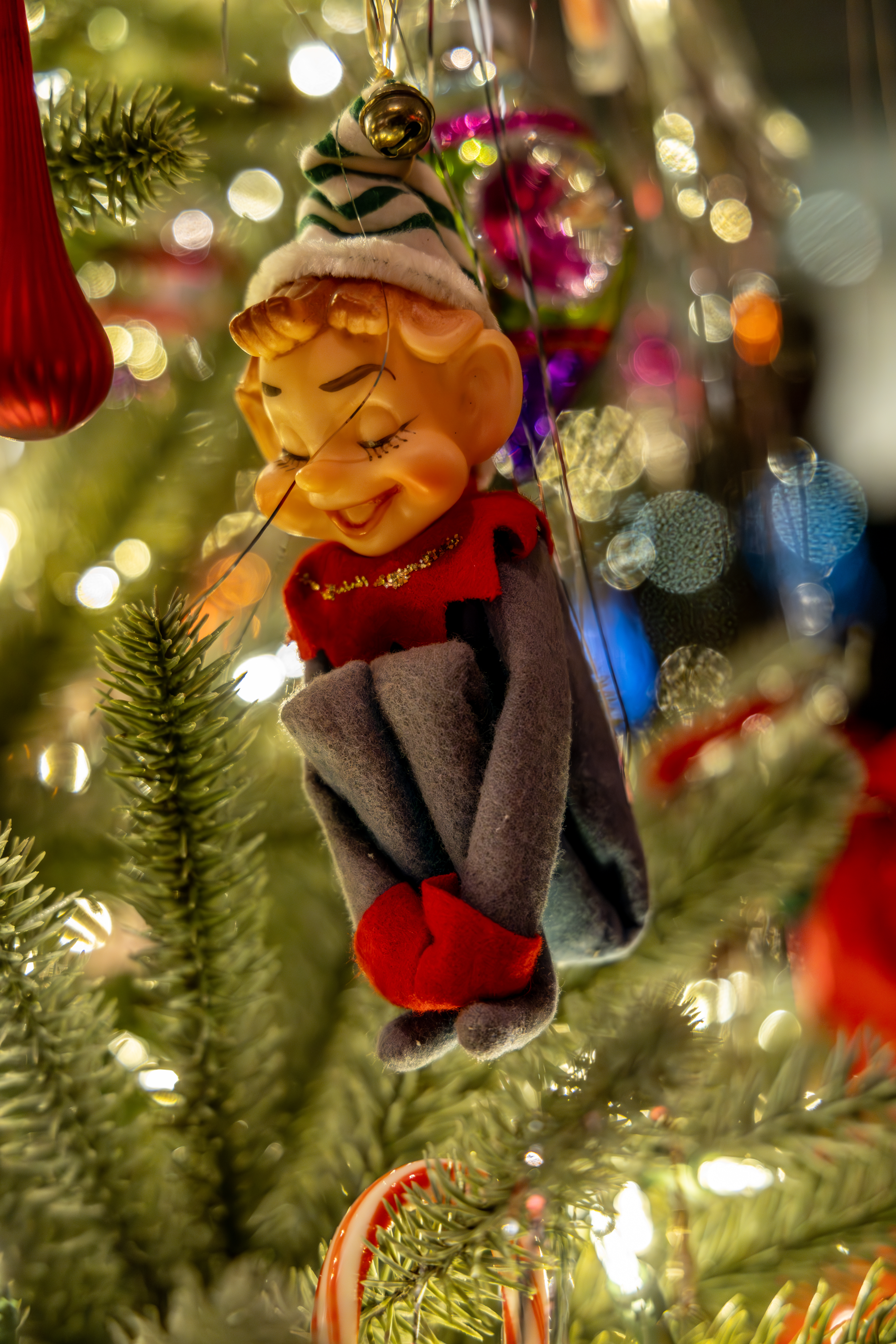 University of Michigan Health-West: Christmas & Holiday Traditions at Frederik Meijer Gardens. (Michael Buck/WOOD TV8)
