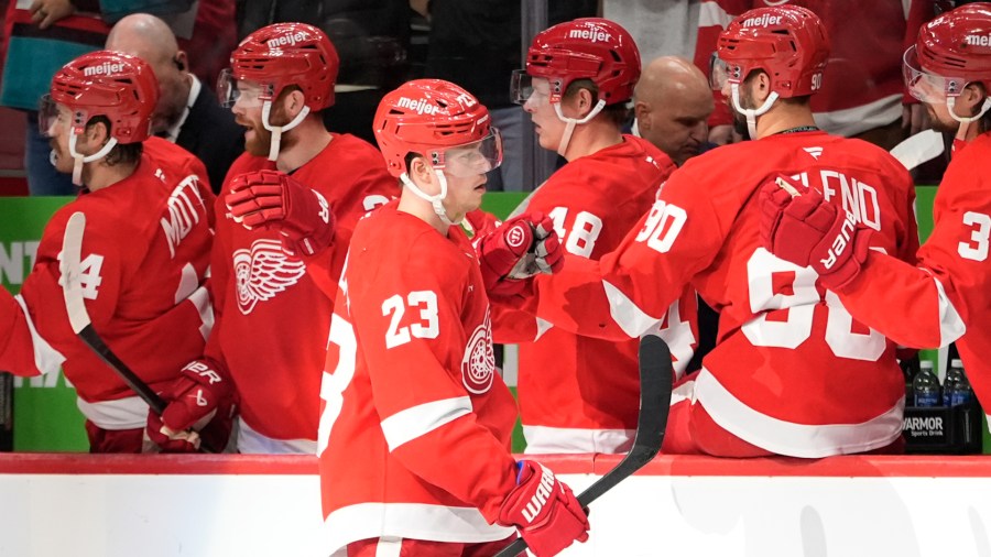 Detroit Red Wings left wing Lucas Raymond (23) greets teammates after scoring during the first period of an NHL hockey game against the New Jersey Devils, Friday, Nov. 29, 2024, in Detroit. (AP Photo/Carlos Osorio)