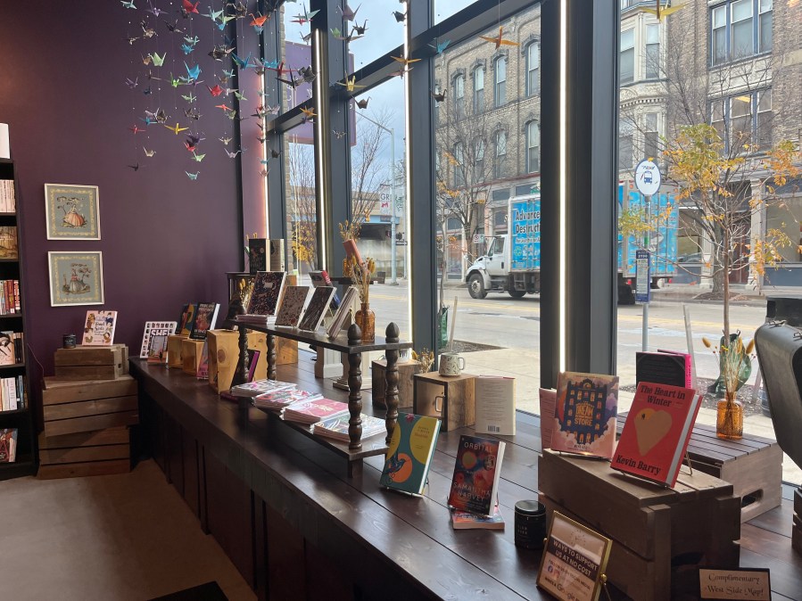 Cellar Bird Books in Grand Rapids. (Nov. 20, 2024)