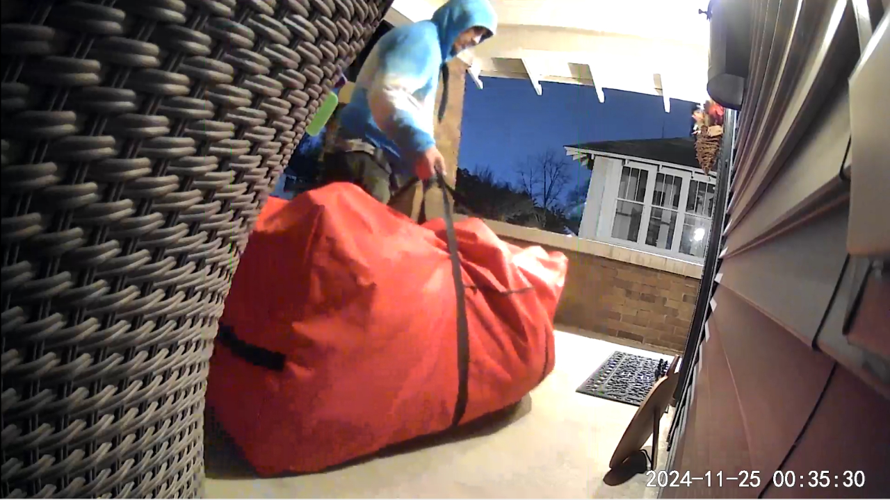 A still image from security footage shows an alleged porch thief take a Christmas tree. (Courtesy Mark Micheli)