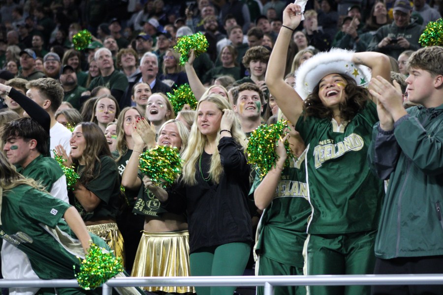 Zeeland West won the state championship game on Nov. 30, 2024. (Dean Holzwarth/WOOD TV8)