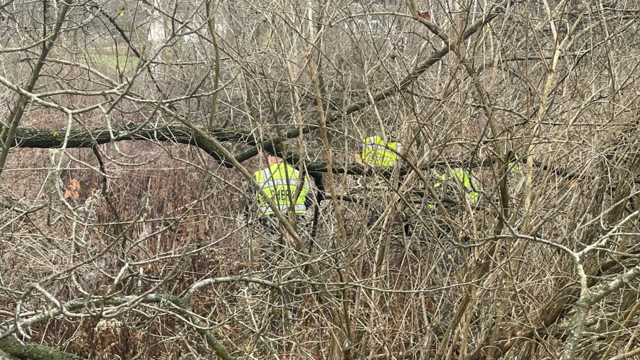 Crews search for 16-year-old Cortez McConer Jr. ear Wolverine Boulevard south of Rockford on Nov. 22, 2024.