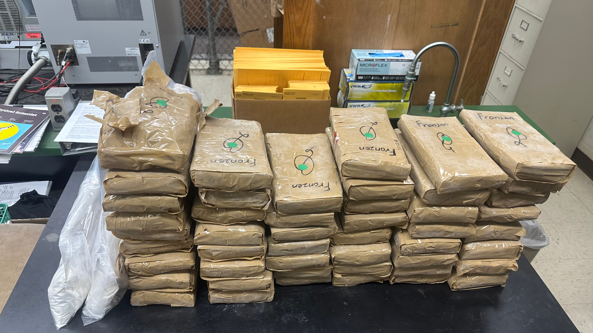Deputies say they found 123 pounds of cocaine in a semi-truck on I-94 near Benton Harbor. (Courtesy Berrien County Sheriff's Office)