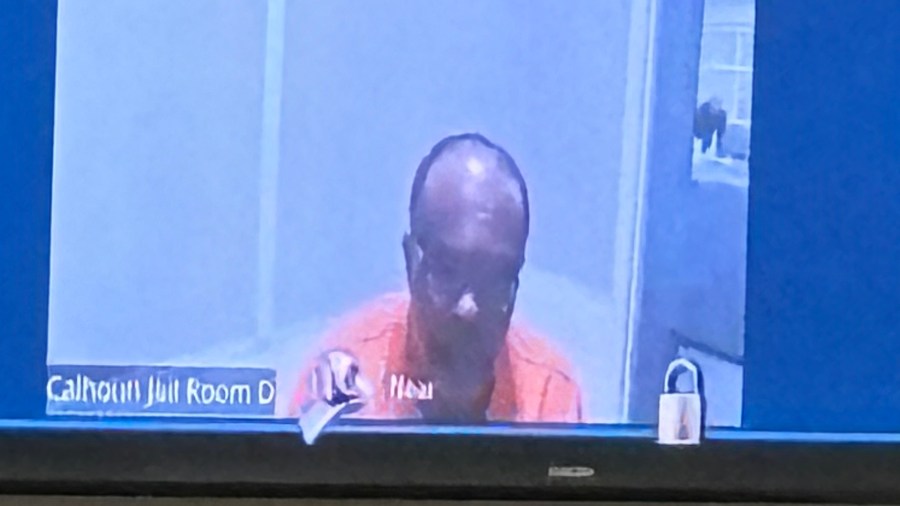Leslie Miller appears in a Battle Creek courtroom via video linkup on Nov. 22, 2024, to be arraigned.