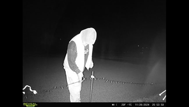 Surveillance footage released by the Kent County Sheriff's Office shows a suspect vandalizing holiday lights at LMCU Ballpark on Nov. 26, 2024.
