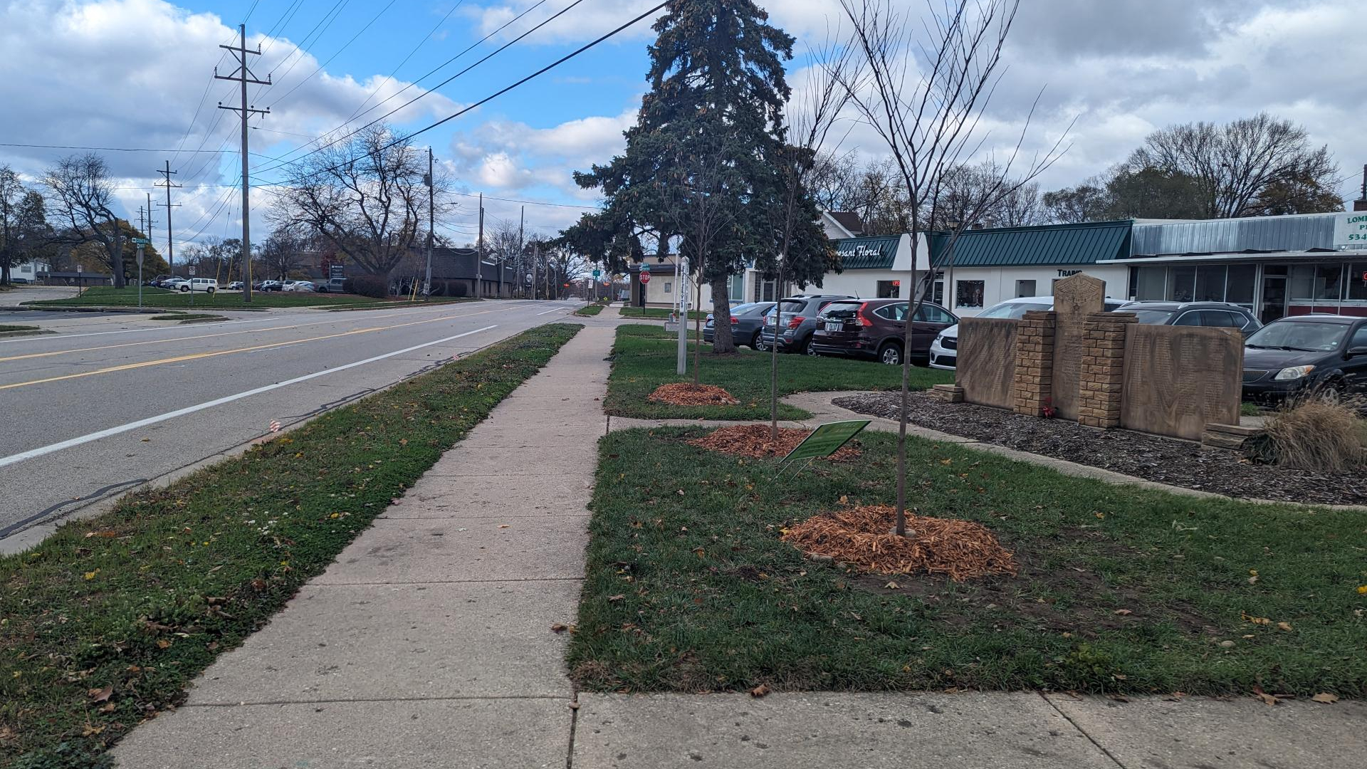 New trees dedicated to veterans near the memorial wall in Wyoming. (Nov. 11, 2024)