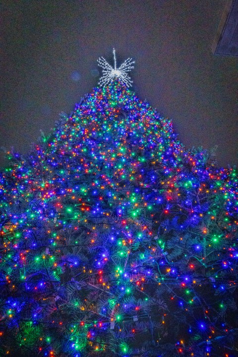 The Grand Rapids Santa Parade, sponsored by Gentex, and tree lighting ceremony on Dec. 7, 2024. (Michael Buck/WOOD TV8)