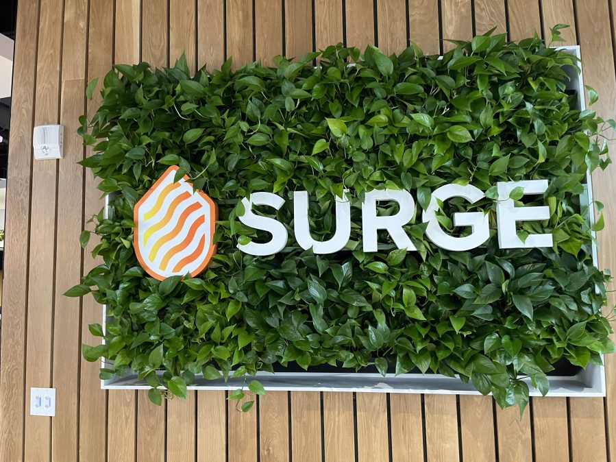 The Surge Center has moved to the Next Center in downtown Holland. (Dec. 4, 2024)