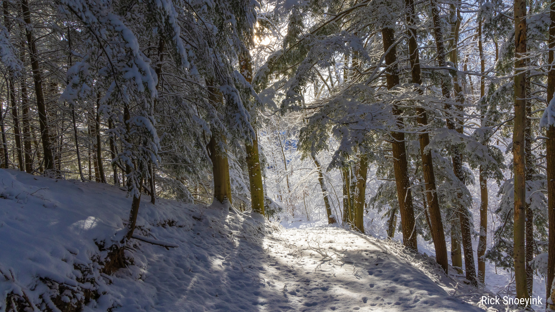 Snow in the Newaygo area on Dec. 5, 2024. (Courtesy Rick Snoeyink)